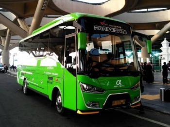 PO. Alfa Transport Medium Bus